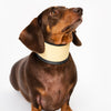 Wilkool™ Cooling Vest Bundle