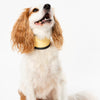 Wilkool™ Cooling Vest Bundle