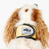 Wilkool™ Cooling Vest Bundle