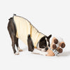 Wilkool™ Cooling Vest Bundle
