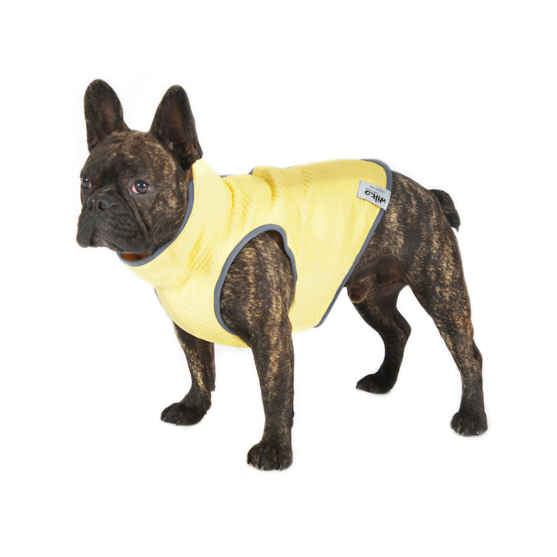 Cooling vests for dogs deals