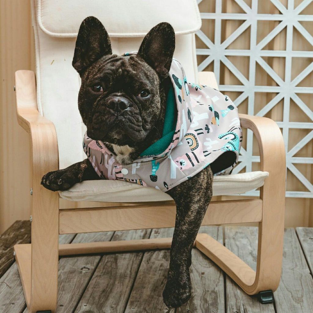 Pug fleece shop blanket wilko