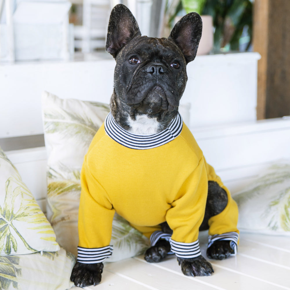 Wilko Dog Pyjamas/ Pet Onesie