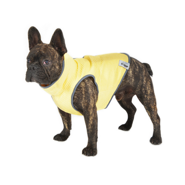 French bulldog cooling outlet vest