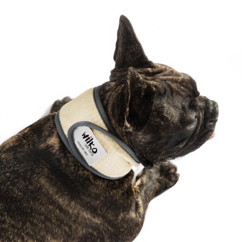 Wilko Dog Cooling Collar worn by dog.