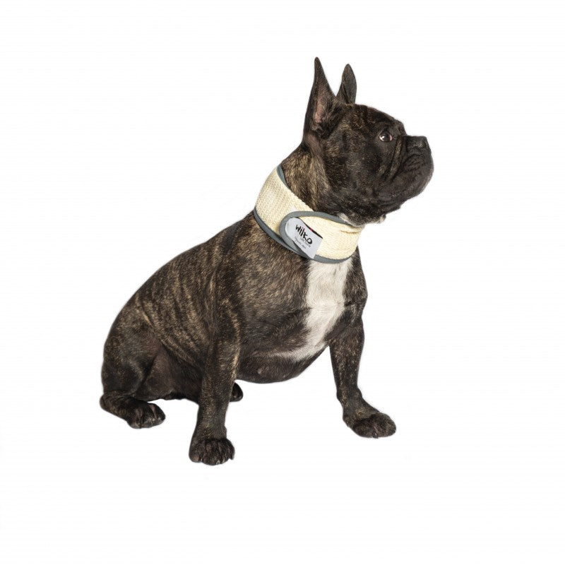 Wilko Dog Cooling Collar worn by dog.