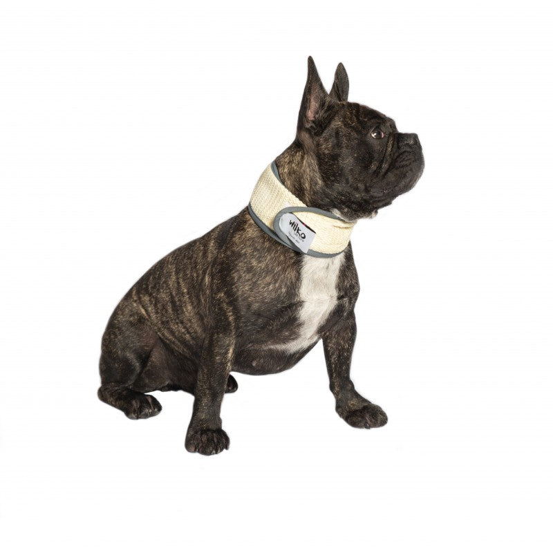 Dog harness wilko sales